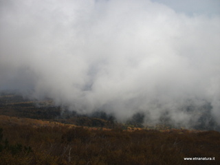 rra delle Concazze-01-01-2009 04-25-16